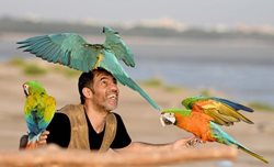 تصاویری جذاب از آموزش طوطی ها در کویت