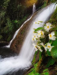 زیبایی آبشار چابکسر + عکس