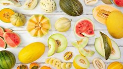 کدام میوه تابستانی شکم سیر کن است؟