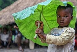 چتر طبیعی کودکان هنگام بارش باران + تصاویر