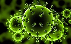 کرونای آفریقای جنوبی، یکی از خطرناک ترین ویروس های موجود را بشناسید