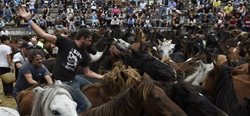 جشنواره رام کردن اسب های وحشی در اسپانیا + تصاویر