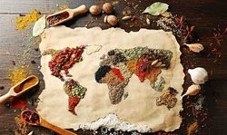 روز جهانی غذا؛ تلنگری برای بیداری وجدان های به خواب رفته