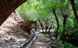 روستای کوهین تفرش؛ روستایی زیبا و دیدنی با طبیعتی بکر