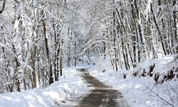 احداث باغ راه شمال مراغه سالهاست که به عنوان یک مطالبه برای توسعه صنعت توریسم مطرح می شود