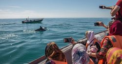ایران با داشتن سه دریای پیرامونی هنوز نتوانسته از ظرفیت گردشگری دریایی استفاده کند