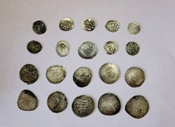 کشف و ضبط بیست سکه تاریخی در مانه و سملقان