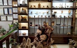 اولین موزه منبت چوب کشور در شهر کرمانشاه افتتاح شد