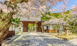 قصر اصلی امپراطوری کیوتو یکی از جاهای دیدنی کیوتو به شمار می رود