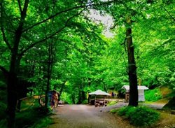 پارک جنگلی صفارود از جاذبه های گردشگری رامسر به شمار می رود