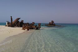 جزیره خارکو از جزیره های کوچک ایرانی در خلیج فارس است