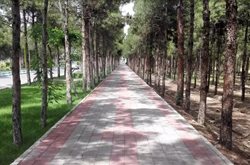 پارک شهید چمران یکی از تفرجگاه های شهر ساوه به شمار می رود