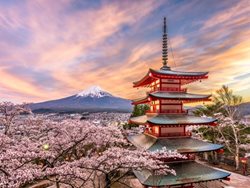 ژاپن خود را آماده گشودن درها به روی گردشگران بین المللی می کند
