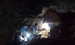 فصل دوم کاوش باستان شناسی غار شوپری در مازندران پایان یافت