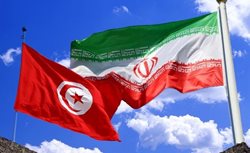 برنامه ریزی به منظور تشکیل کمیته فنی گردشگری ایران و تونس در دستور کار قرار دارد