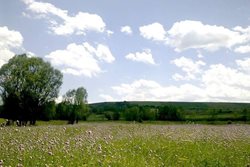 دره جنگلی ایردموسی از جاهای دیدنی سرعین به شمار می رود