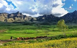منطقه حفاظت شده بدر و پریشان یکی از جاذبه های گردشگری کردستان است