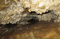 غار آسیلی یکی از جاذبه های طبیعی استان مرکزی است