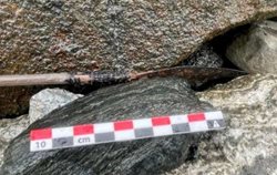 کشف یک تیر بسیار سالم متعلق به عصر آهن در نروژ