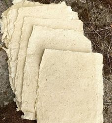کارشناس هنر اسلامی در رامسر توانسته تا با کاه برنج کاغذ دستی تولید کند