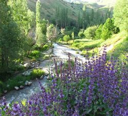 روستای گته ده یکی از زیباترین روستاهای استان البرز به شمار می رود