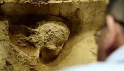کشف جمجمه انسانی که حدود یک میلیون سال پیش زندگی میکرده است