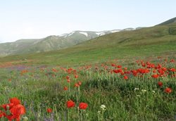 منطقه حفاظت شده یاری قاری یکی از دیدنی های آذربایجان شرقی است