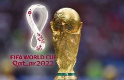 مشخص شدن مجریان و شرکتهای مجاز برگزار کننده تور جام جهانی