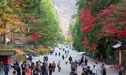 شمار قابل توجهی از مسافران خارجی به کشور ژاپن سفر کردند