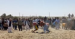 جشنواره آیین های سنتی و بازی های بومی محلی سیستان و بلوچستان برگزار شد