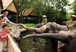 باغ وحش سنگاپور یکی از بهترین باغ وحش های جهان به شمار می رود