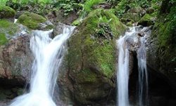 چشمه نیلبرگ یکی از جاذبه های طبیعی استان گلستان است