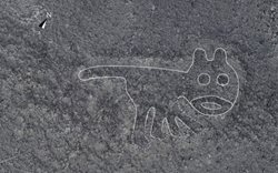 کشف مجموعه جدیدی از نقشهای تاریخی مشهور به خطوط نازکا در صحرایی واقع در پرو