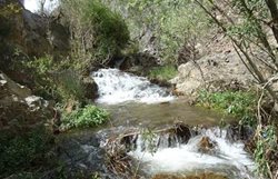 آبشار کفتر دره یکی از جاذبه های طبیعی خراسان رضوی به شمار می رود