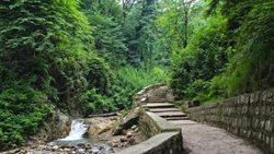 پارک جنگلی سوکان یکی از تفرجگاه های استان سمنان به شمار می رود