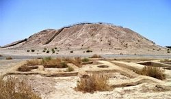 کاوشهای باستان شناسی در استان کرمان متوقف شده اند