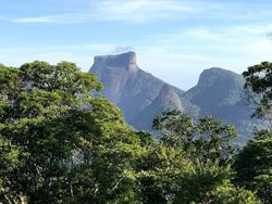 پارک جنگلی تیجوکا؛ جاذبه ای دیدنی و متفاوت در برزیل