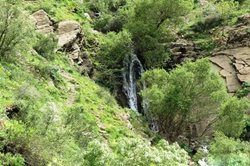 آبشار شیلماو پاوه یکی از جاذبه های طبیعی استان کرمانشاه به شمار می رود