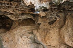 غار گاکال یکی از دیدنی های استان کهگیلویه و بویراحمد به شمار می رود