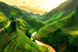 نکات مهم برای سفر به ویتنام؛ کشوری با جاهای دیدنی فراوان