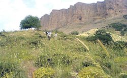 منطقه حفاظت شده مانشت و قلارنگ یکی از جاذبه های گردشگری استان ایلام است