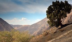 منطقه حفاظت شده اشترانکوه یکی از جاذبه های دیدنی استان لرستان به شمار می رود