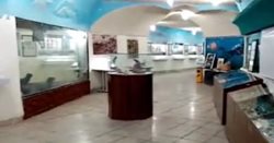 افتتاح نخستین مجموعه دیرینه شناسی ایران و اولین موزه فسیل جسم نرم جهان در کرمان