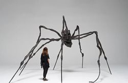 مجسمه عنکبوت عظیم رکورد جدیدی را برای هنرمند سازنده اش به ثبت رساند