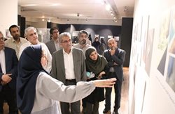 نمایشگاه مراقبت از مجموعه های موزه ای برپا شد