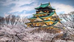 15 دانستنی جالب و عجایب درباره کشور ژاپن