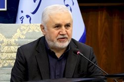 واکنش قائم مقام وزیر میراث فرهنگی کشور به بازداشت مدیر مجموعه حافظیه
