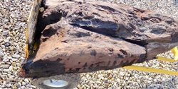 کشف بقایای یک قطعه چوب با حکاکی های چند هزار ساله در بریتانیا