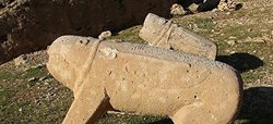 حفاران غیرمجاز به بهانه یافتن گنج به هیچ یک از آثار تاریخی رحم نمی کنند