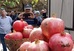 تاکید بر لزوم تبدیل جشنواره انار به برند گردشگری درجزین